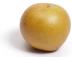 pear_asian.jpg